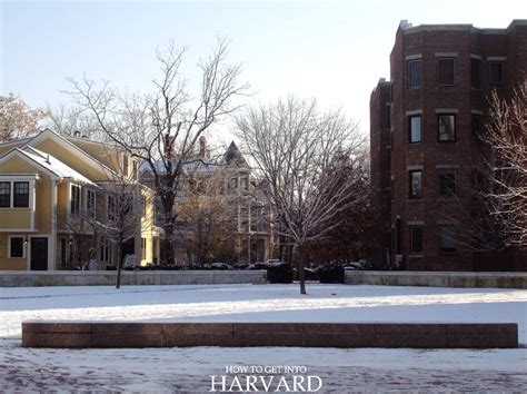 harvard off campus housing